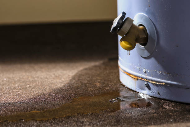 Best Fire Damage Restoration  in Woodsfield, OH