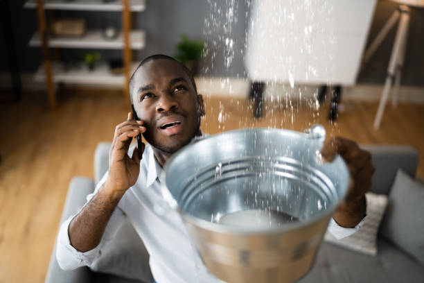 Best Professional water damage repair  in Woodsfield, OH