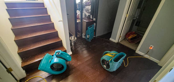 Best 24-hour water damage restoration  in Woodsfield, OH