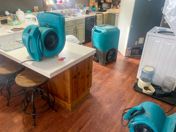 Best Emergency water damage restoration  in Woodsfield, OH