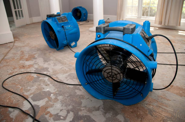 Professional Water damage restoration in Woodsfield, OH