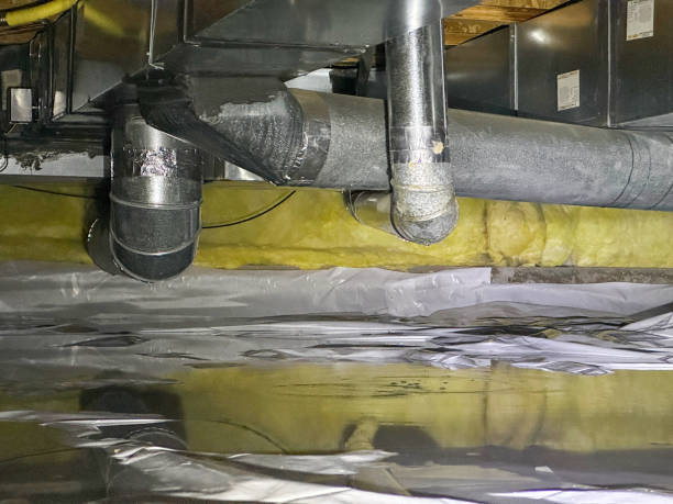 Best Carpet water damage restoration  in Woodsfield, OH