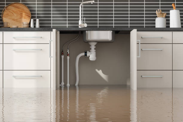 Best Flood restoration services  in Woodsfield, OH