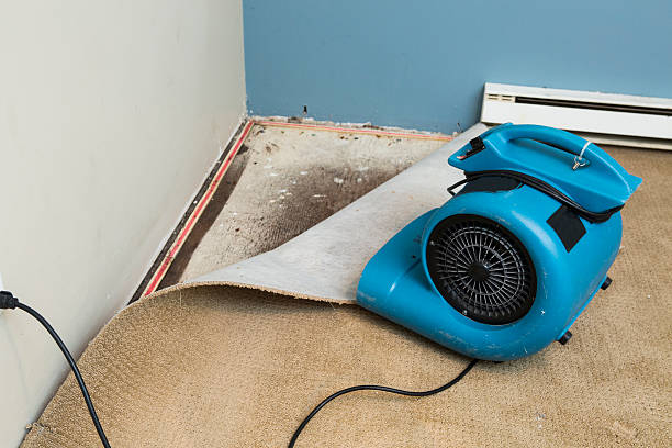Best Water damage restoration company  in Woodsfield, OH